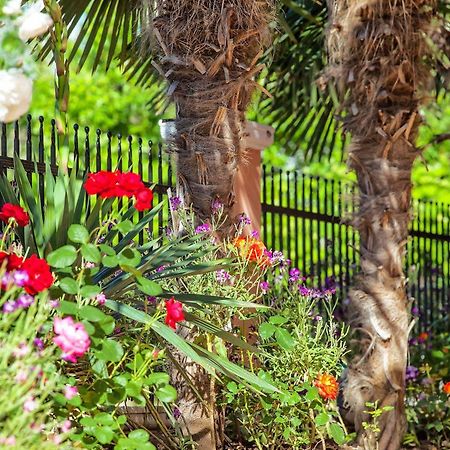 Olympiakí AktíCasa Di Mare Poseidonアパートメント エクステリア 写真